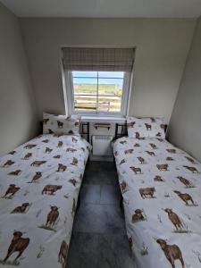 a bedroom with two beds and a window at The Glen Lodges, Muriel Cabin in Auckingill