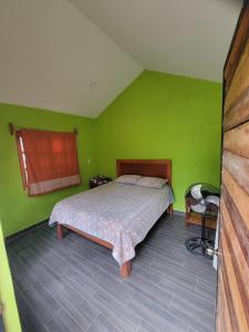 a bedroom with a bed and a green wall at La cabaña del sabino in Ayutla +4 photos