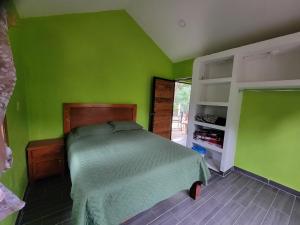 a green bedroom with a bed in a room at La cabaña del sabino in Ayutla