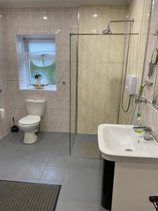 a bathroom with a shower and a toilet and a sink at Kings Accommodation in Donegal +51 photos