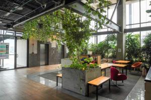 a large room with tables and chairs and plants at Purísima 5 0 in Monterrey