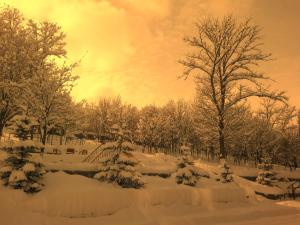 Alpina Resort by Stellar Hotels, Tsaghkadzor talvel