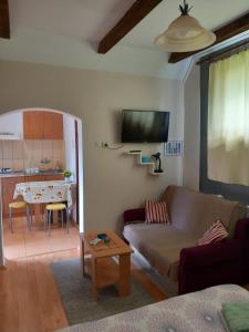 a living room with a couch and a table at Studio apartmani Tanja in Bela Crkva