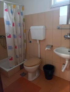 a bathroom with a toilet and a sink at Studio apartmani Tanja in Bela Crkva