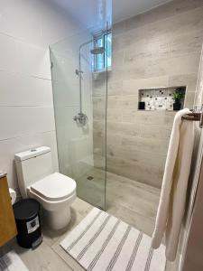 a bathroom with a toilet and a glass shower at residencial enmanuel 1 in Hoya del Caimito +28 photos