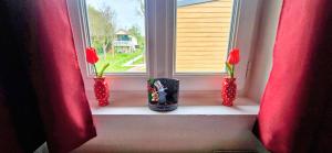 a window sill with three red vases with red flowers at B&B immersif La Chambre de Ratatouille 10 min Disney in Isles-lès-Villenoy