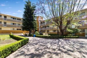a courtyard with a tree and a building at Single Suite Unbeatable Location Internet b34 in Casa Blanca La Corregidora