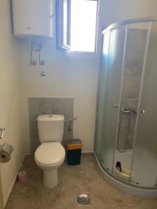 a bathroom with a toilet and a shower at Riverside in Virpazar