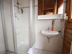 a bathroom with a shower and a sink at Finnische Blockhausstilhäuser im Harz in Benneckenstein +31 photos