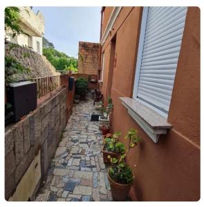 an alley with potted plants on the side of a building at Casa Lali in Redondela +3 photos