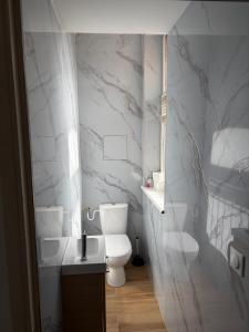 a white bathroom with a toilet and a sink at Le Central - Parking Privé in Douai