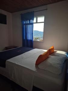 a bedroom with a large bed with a window at Hotel Girasol in Santa Rosa de Cabal