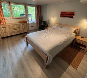 a bedroom with a large bed and two windows at Domaine Heyen in Waimes