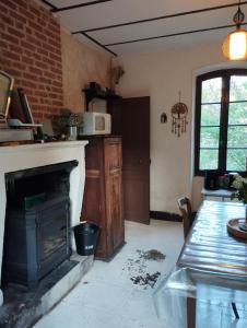 a kitchen with a fireplace and a table and a microwave at Pause détente in Saint-Bonnet-Avalouse