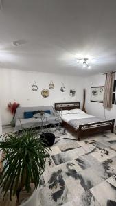 a bedroom with two beds and a potted plant at Bellissimo apartment Naxos in Naxos Chora