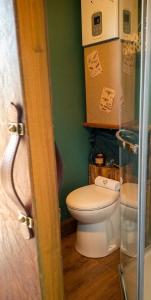 a bathroom with a toilet and a green wall at La tiny house perdue in Saint-Blimont +13 photos
