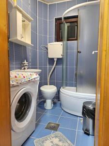 a bathroom with a washing machine and a toilet at Apartman Ceca in Lepterija