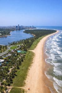 an aerial view of a beach with palm trees at Paiva Ocean View - 17th Floor with Pool, Sauna & Jacuzzi in Recife
