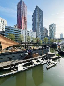 a group of boats docked at a marina in a city at De Coaster & Aquarium Ponton in Rotterdam