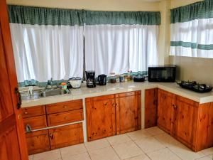 a kitchen with wooden cabinets and a sink and a microwave at Alinas House in Fortuna