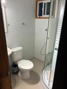 a white bathroom with a toilet and a shower at Cabañas rio fuy Tinaja in Puyehue