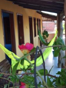 a pink flower on a plant in front of a house at Pousada Oritibe in Cairu