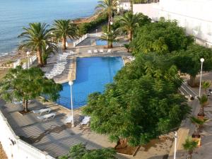 uma vista sobre uma piscina com palmeiras e o oceano em Carlos III em Sant Carles de la Ràpita