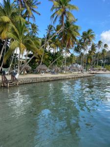 a body of water with palm trees on a beach at Caribbean Dream Vacation Property 8 in Reduit