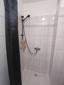 a shower with a hose in a bathroom at B787 - City center room Papeete in Papeete