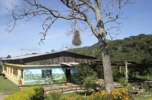 a house with a tree in front of it at Pousada Quintal da Cachoeira in São Thomé das Letras