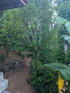 a tree in the middle of a dirt road at Luxforge home in Bandarawela