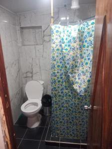a bathroom with a toilet and a shower curtain at Apartaestudio Central in Chiquinquirá