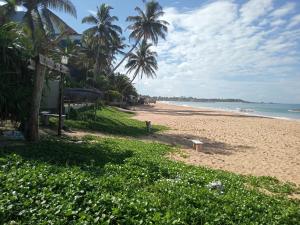 a sandy beach with palm trees and the ocean at Breeze House in Hikkaduwa