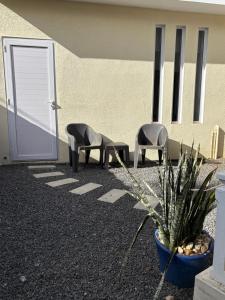 two chairs and a plant in front of a building at Studio tout confort avec piscine pour les amoureux des toutous in Roches Noires