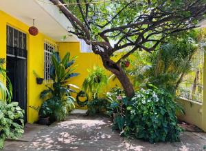 a yellow house with a tree in front of it at Casa Icaco in Puerto Escondido