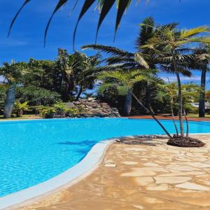 a palm tree sitting next to a swimming pool at Le Sable Blanc - piscine - parking - clim - wifi in Saint-Gilles-les-Bains