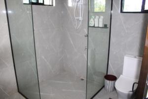 a shower stall in a bathroom with a toilet at Naikabula Villa in Lautoka +11 photos