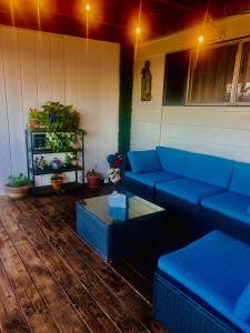 a living room with blue couches and a table at 3333 Luz Del Valle Hotel Boutique in Valle de Guadalupe