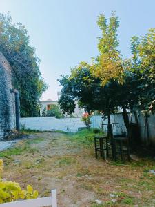 a yard with a tree and a fence at Kroi'Pistolve in Krujë