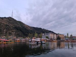a group of boats in a body of water at Island homestay in dal lake in Srinagar