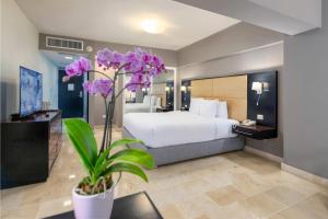 a hotel room with a bed and purple flowers at Radisson Hotel Santo Domingo in Santo Domingo
