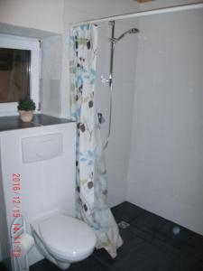 a bathroom with a toilet and a shower at Ferienwohnung In Vino Veritas in Neumagen-Dhron