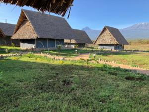 two buildings with thatched roofs in a field at AMBOKILI COTTAGES AMBOSELi in Nairobi +9 photos