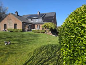 a dog laying in the grass in front of a house at Chez Nous in Bastogne