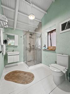 a bathroom with a shower and a toilet at Hanole Macaron Guest House in Ayvalık