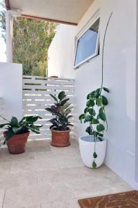 a patio with three potted plants and a window at La Porta Rosa in Bunbury