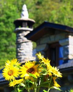 a group of yellow flowers in front of a statue at Casa Alba Ara in Oto