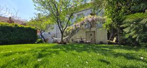 a house with a yard with a dog in the grass at Writer s street residence in Arad