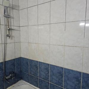a bathroom with a shower with blue and white tiles at Bedroom with shared kitchen men only in Sharjah