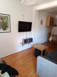 a living room with a flat screen tv on the wall at Apartman SAN in Soko Banja